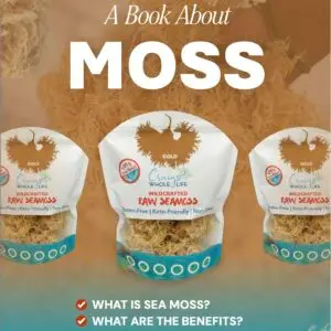 A Book About Moss